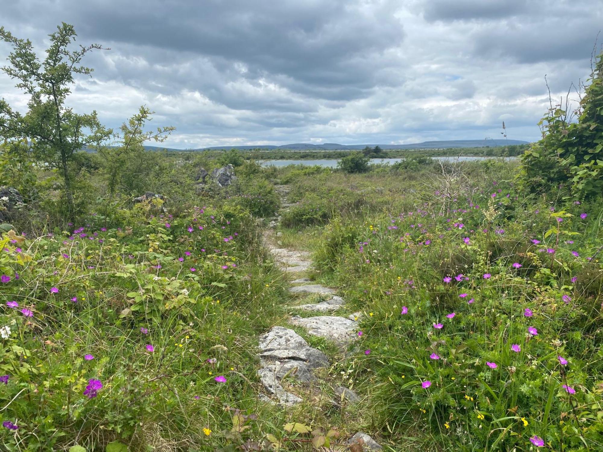 BostonLuxury Glamping Dome With Views Of The Burren别墅 外观 照片
